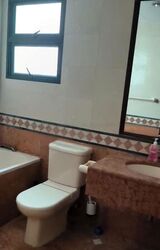 Hillview Green (D21), Condominium #462616011